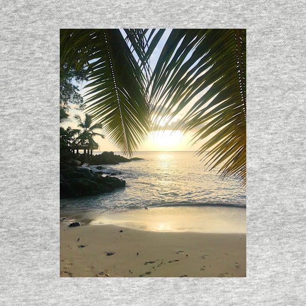 Seychelles mahe island beach palm trees paradise print by simplythewest